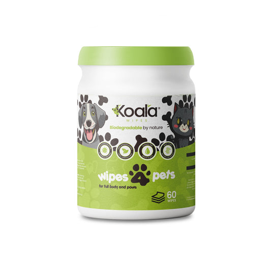 Koala Wipes biodegradable pet wipes in green tub with 60 sheets for paws and coat cleaning