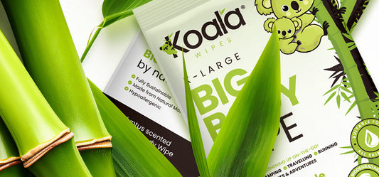 Why Big Body Wipes?