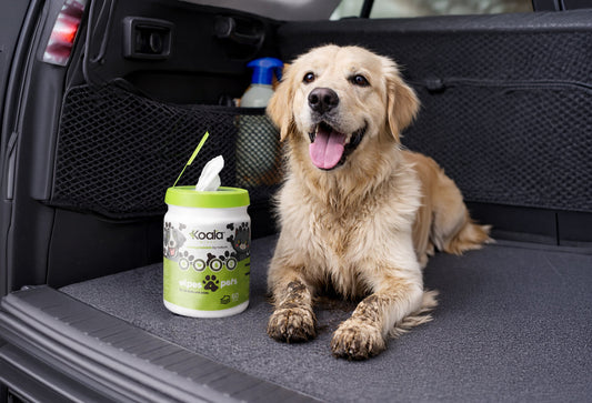 Benefits of Using Pet Wipes