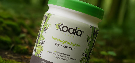 The Sustainable Choice